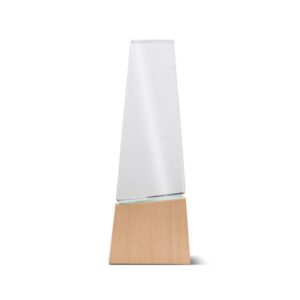Puidust ja klaasist trofee koos kinkekarbiga / Best