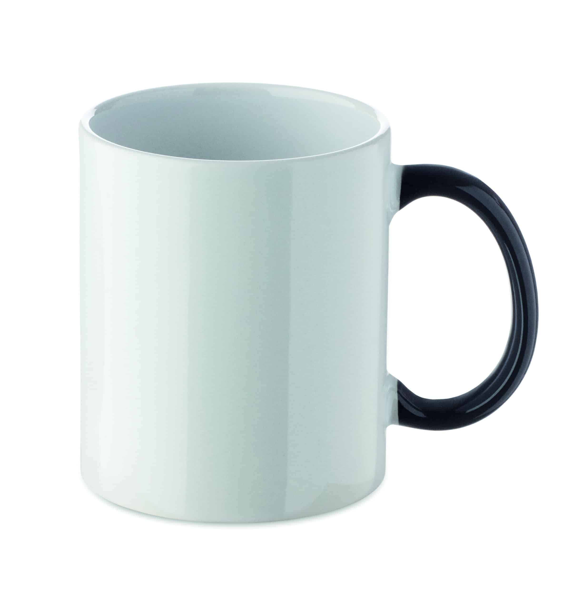 FESTIMUG