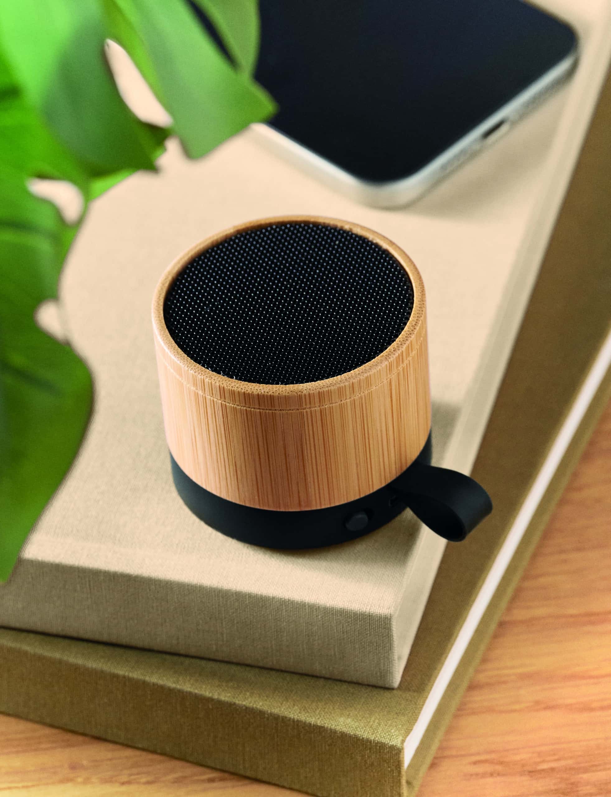 RECAR BAMBOO